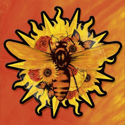 Tiamat : Whatever That Hurts